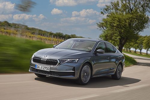 Tegen Octavia Business Edition HB 500 X 332